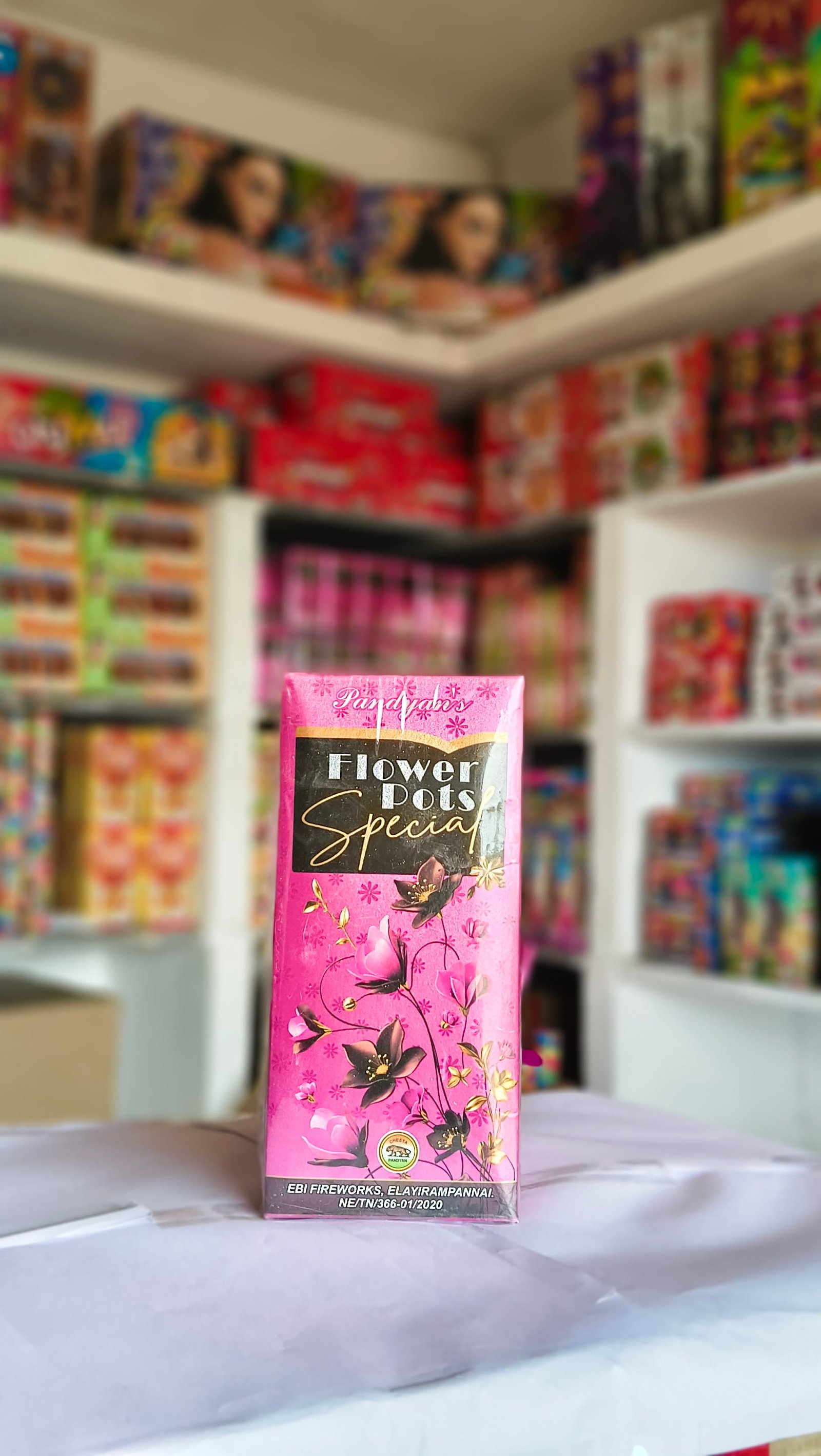 Flowers pots spl